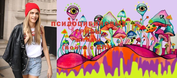 spice Магас