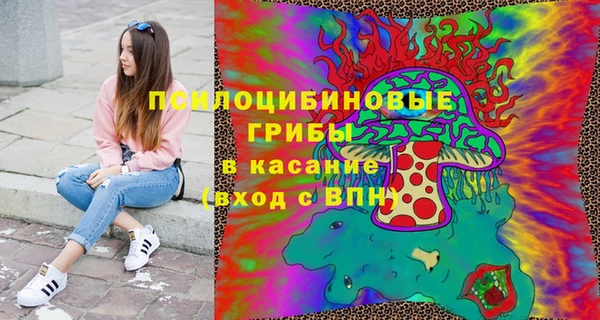 apvp Магадан