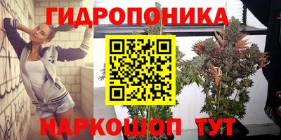 трава Бийск