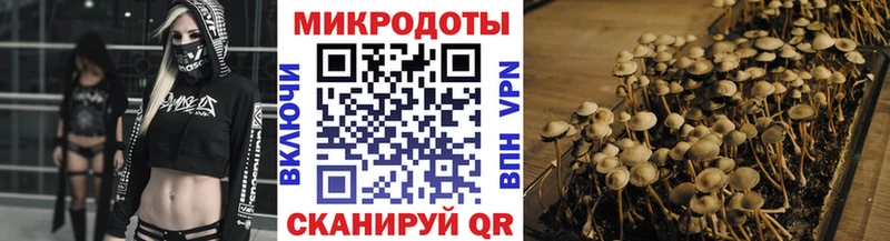 Галлюциногенные грибы GOLDEN TEACHER  Ессентуки 
