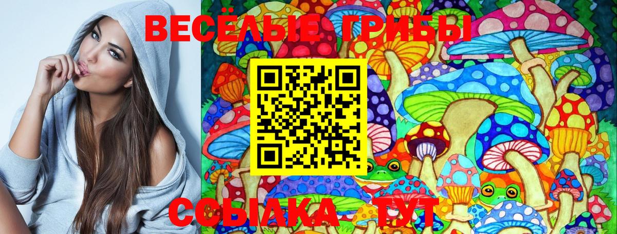 Псилоцибиновые грибы Cubensis Ессентуки